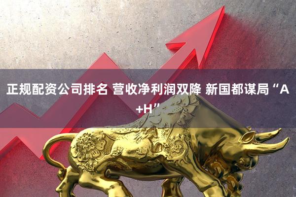 正规配资公司排名 营收净利润双降 新国都谋局“A+H”