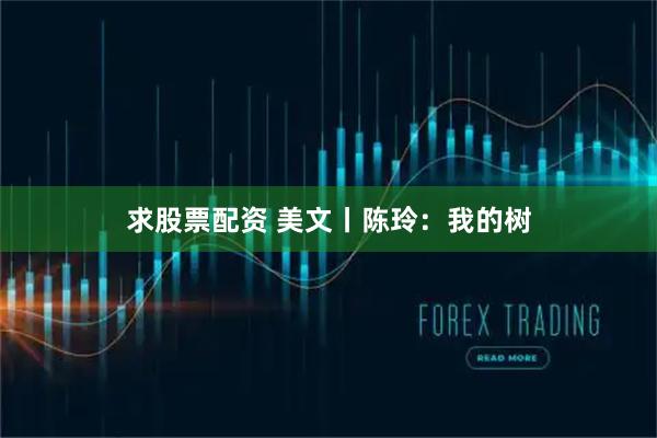 求股票配资 美文丨陈玲：我的树