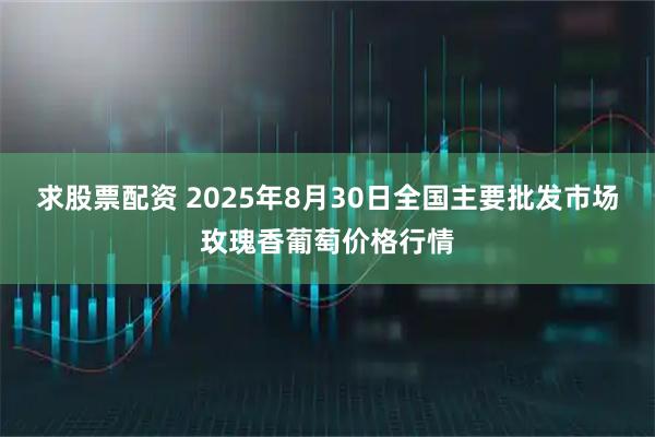 求股票配资 2025年8月30日全国主要批发市场玫瑰香葡萄价格行情