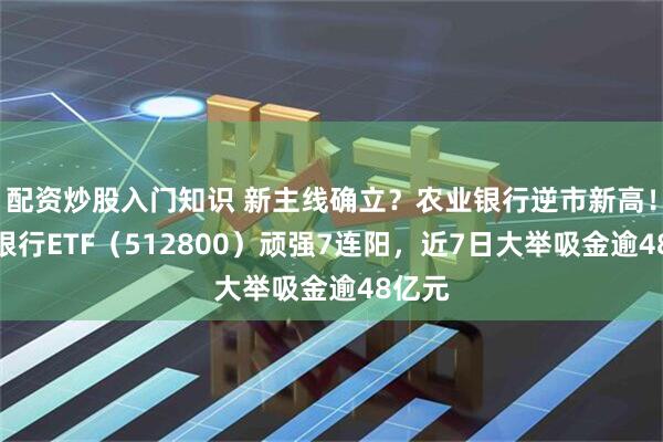 配资炒股入门知识 新主线确立？农业银行逆市新高！百亿银行ETF（512800）顽强7连阳，近7日大举吸金逾48亿元