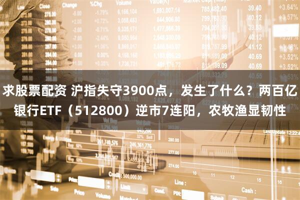 求股票配资 沪指失守3900点，发生了什么？两百亿银行ETF（512800）逆市7连阳，农牧渔显韧性