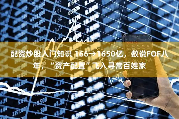 配资炒股入门知识 166→1650亿，数说FOF八年，“资产配置”飞入寻常百姓家